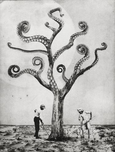 Original Dada Tree Printmaking by Jaco Putker