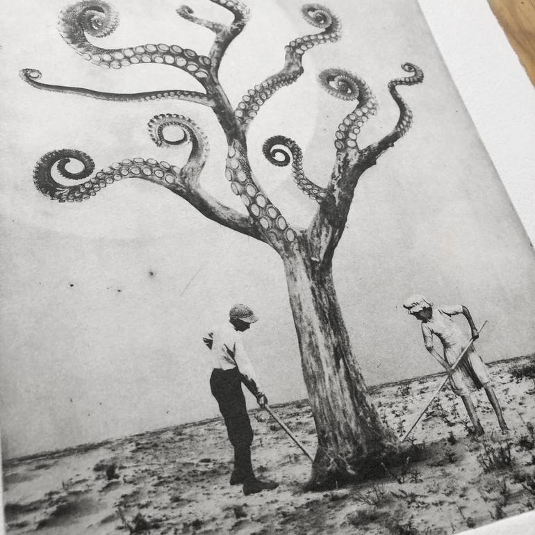 Original Tree Printmaking by Jaco Putker