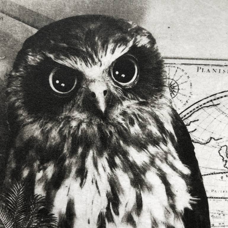 Original Figurative Animal Printmaking by Jaco Putker