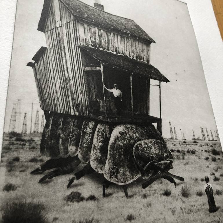 Original Surrealism Animal Printmaking by Jaco Putker