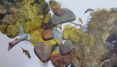 Print of Figurative Botanic Paintings by Alex Raynham