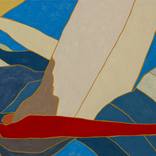 Swell by Sarah Karp Brown
