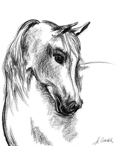 Print of Realism Animal Drawings by Alla Gorelik