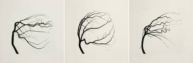 Original Nature Printmaking by Oona Culley