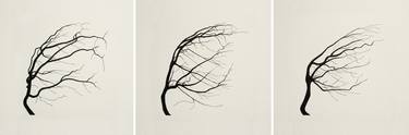 Original Conceptual Nature Printmaking by Oona Culley