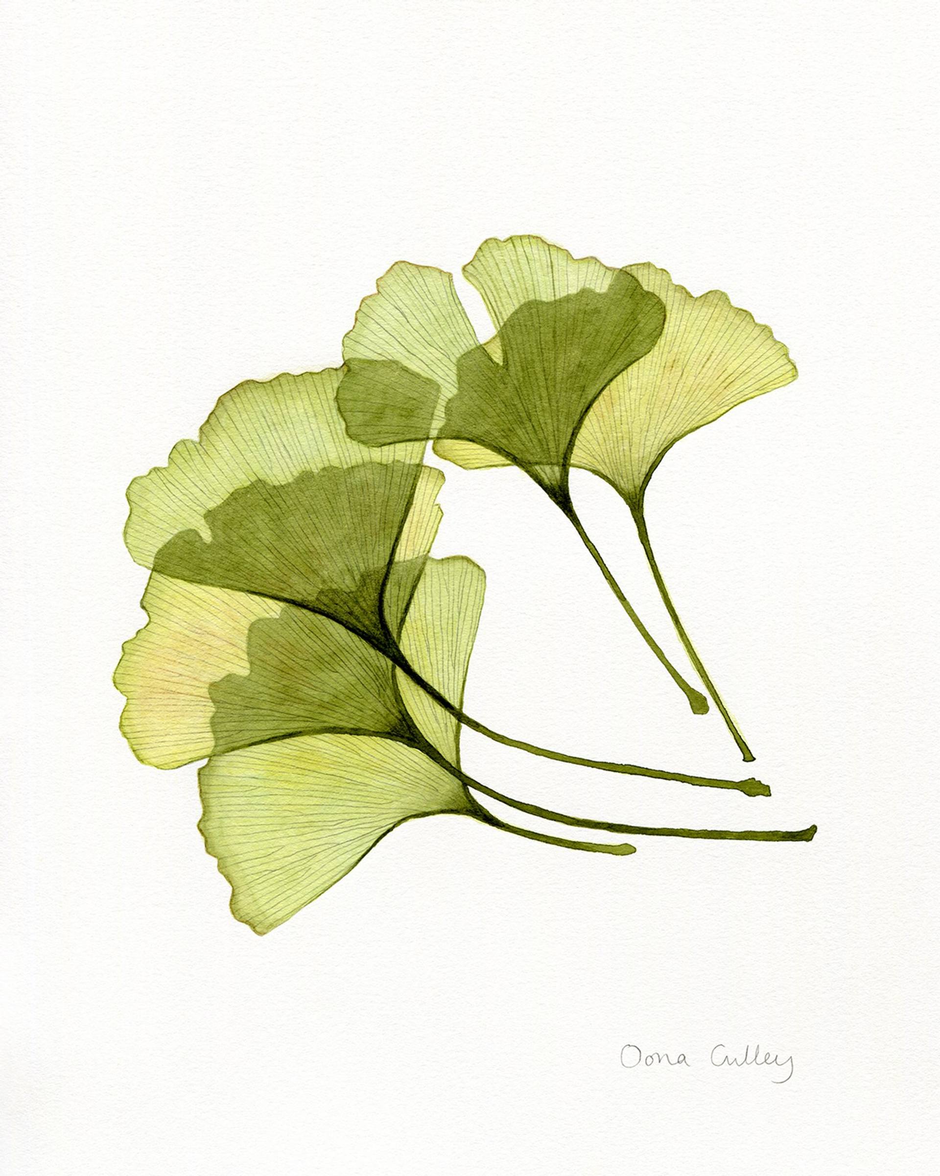 Bokira qizlar va qizlar ortasidagi jinsiy aloqa Pointe poyabzal jinsiy aloqa video