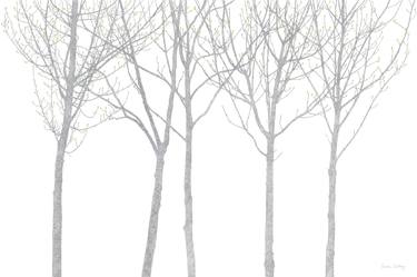 Print of Figurative Tree Drawings by Oona Culley