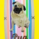 Pug by Gary Hogben