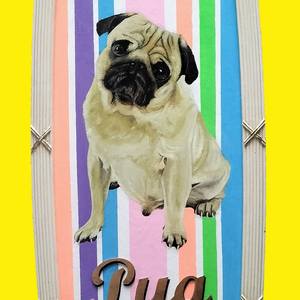 Pug