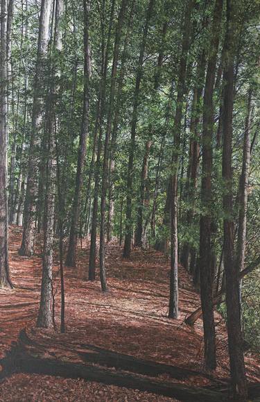 Print of Realism Tree Paintings by Amy Roberts