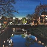 Collection Art for the Adventure-Seeker