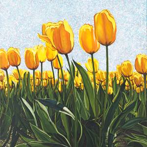 Collection Featured Prints