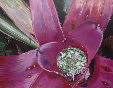 Original Botanic Paintings by Amy Roberts