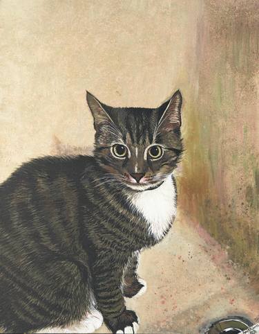 Original Cats Paintings by Amy Roberts