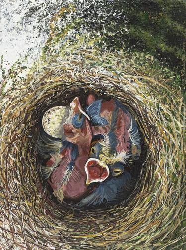 Original Realism Animal Paintings by Amy Roberts