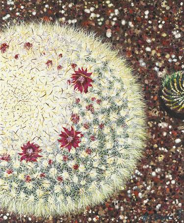 Original Realism Botanic Paintings by Amy Roberts
