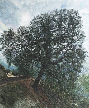 Original Fine Art Tree Paintings by Amy Roberts