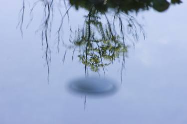 A vase surrounded by water in the middle of the mirror of nature. thumb