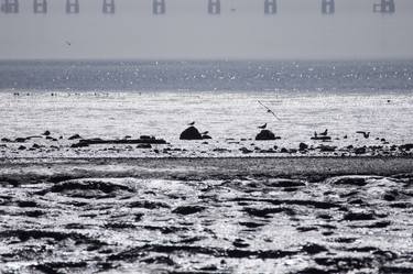 Print of Seascape Photography by Romuald Reber