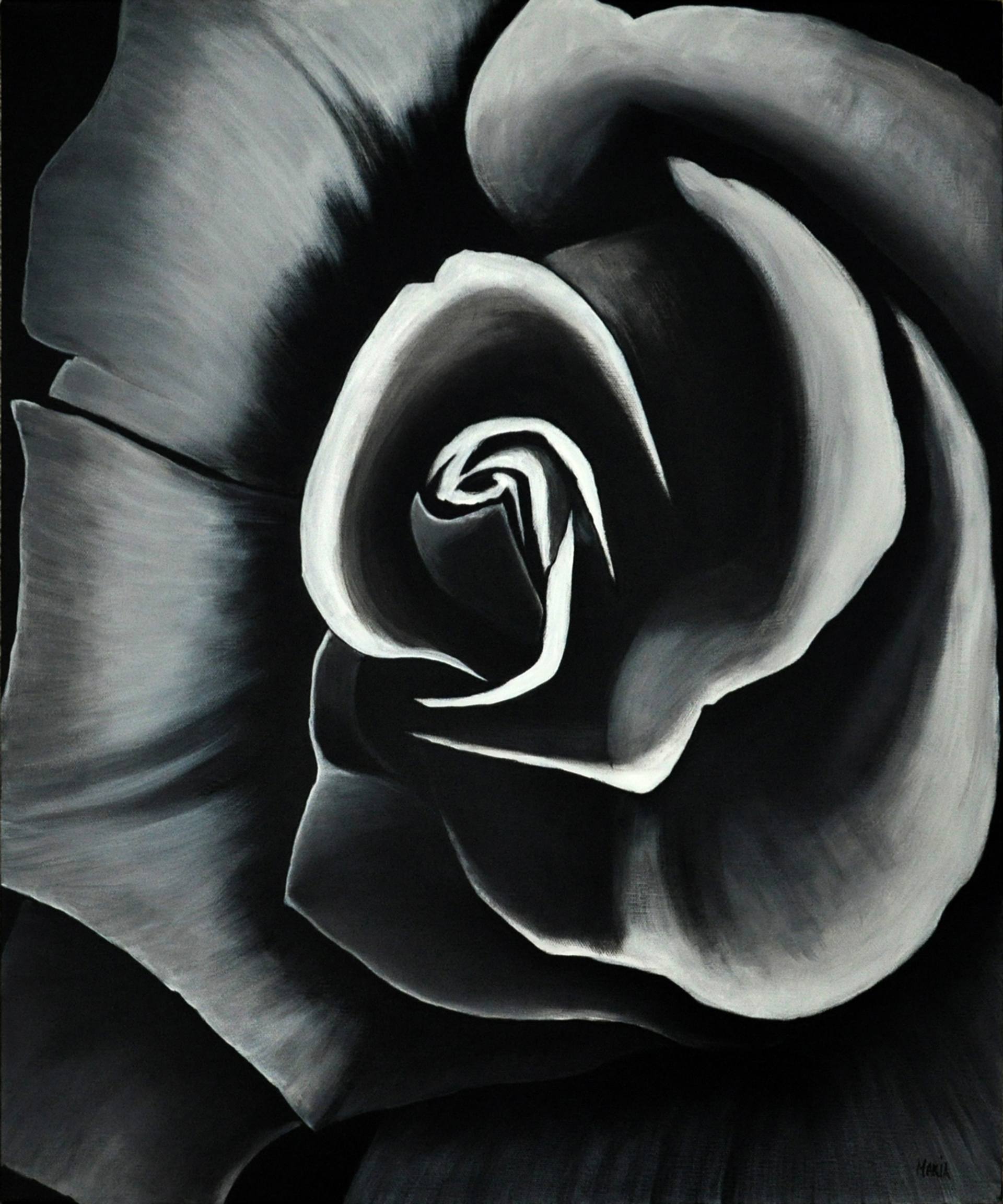 Black Rose Painting by Maria E Hart | Saatchi Art