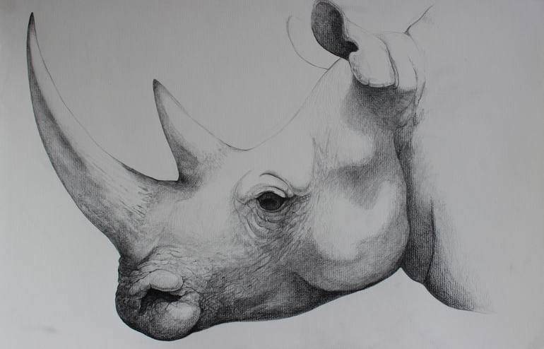 White Rhino Drawing by Jeremy Leavitt | Saatchi Art