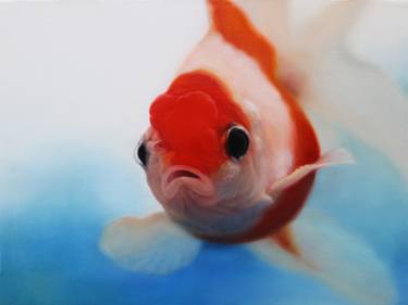 Goldfish(Red Cap) image