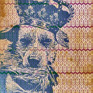 Dog Rules