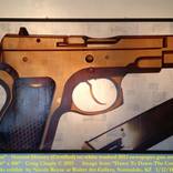 100% Natural #29-Gun by Craig Cheply