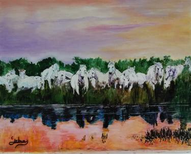 White horses in Camargue thumb