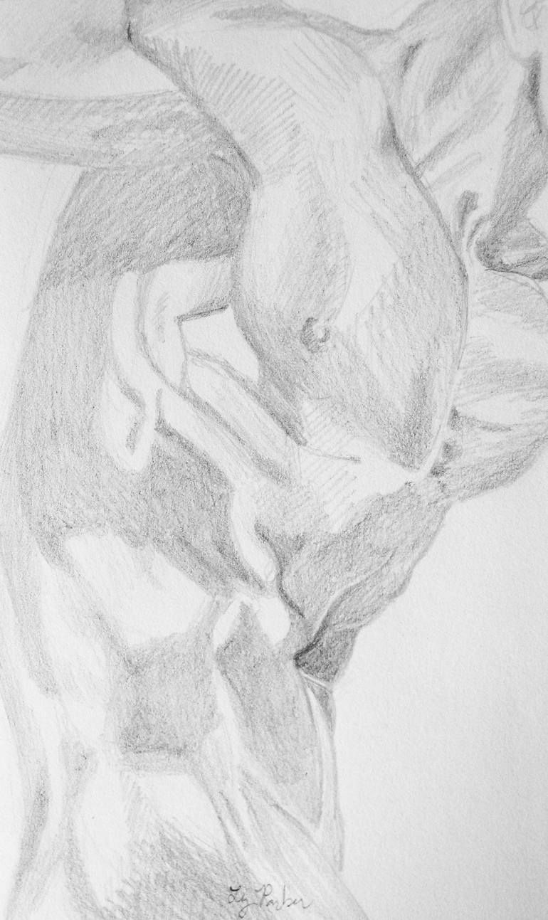 Original Figurative Body Drawings by Elizabeth Parker