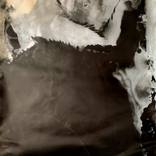 Memory Erasure, one-of-a-kind Mordançage Photogram by Debora Francis