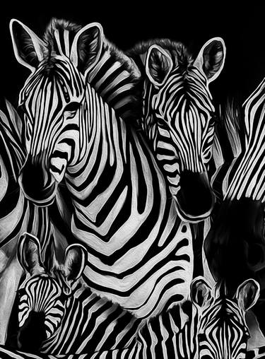 Zebra art 7 thumb