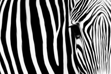 Zebra art 8 thumb