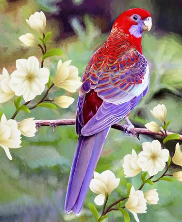 Original Nature Paintings by Gull G
