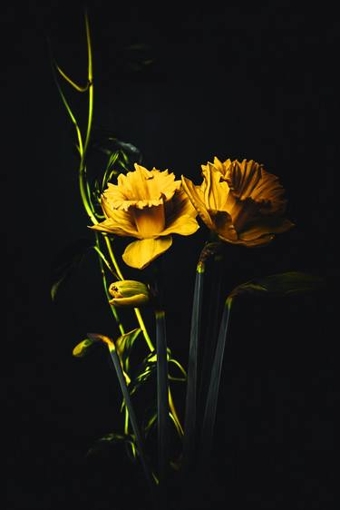 Yellow Flowers art 3 thumb