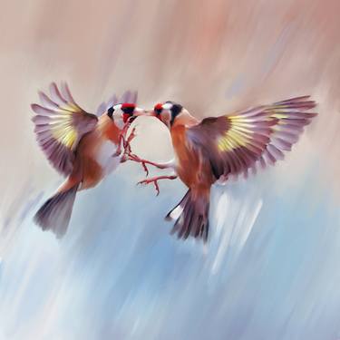 Goldfinch fight thumb