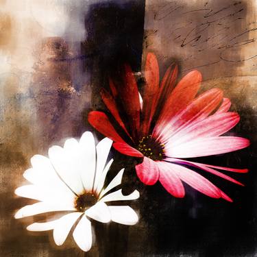 Original Abstract Expressionism Floral Paintings by Gull G