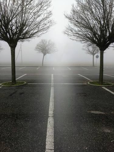 Print of Conceptual Tree Photography by Fiorenza Milanesi