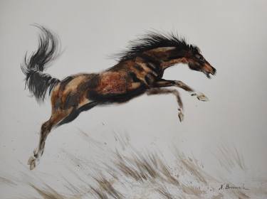 Print of Fine Art Horse Paintings by Natalia Browarnik