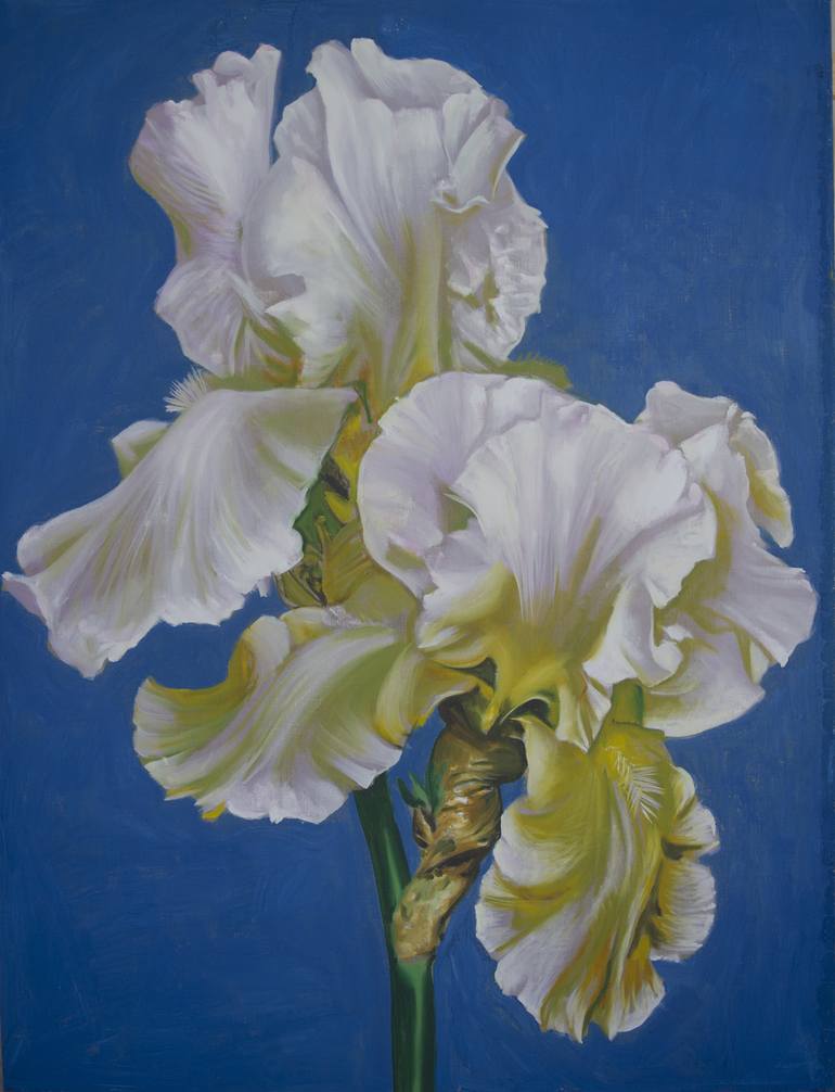 White iris Painting by Antonio Batsakis Saatchi Art
