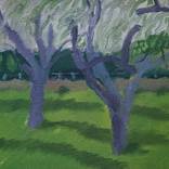 Printemps en Normandie. Floraison des pommiers I. by Maria Magenta