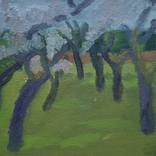 Printemps en Normandie. Floraison des pommiers II. by Maria Magenta