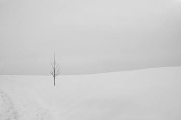 Print of Fine Art Landscape Photography by Borna Bursac