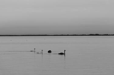 Print of Documentary Nature Photography by Borna Bursac