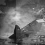 view additional image 1