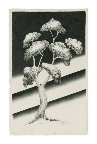 Print of Fine Art Tree Drawings by Beth Scroggins