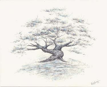 Print of Tree Drawings by Beth Scroggins