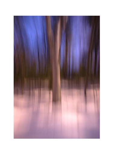 Original Abstract Expressionism Nature Photography by Joe DiMaggio