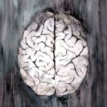 Brain by Wela Elisabeth