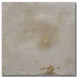 Collection Sold Art
